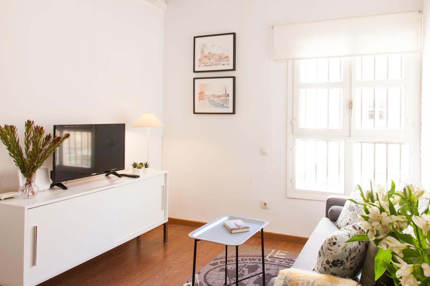 Apartment Placentines *